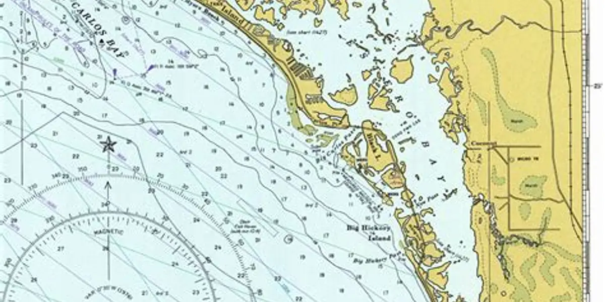 Marine Preservation on Florida’s Gulf Coast: A History