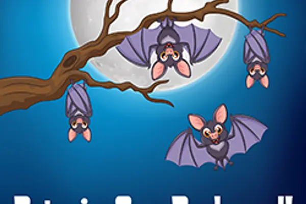 Bats in Our Backyard!