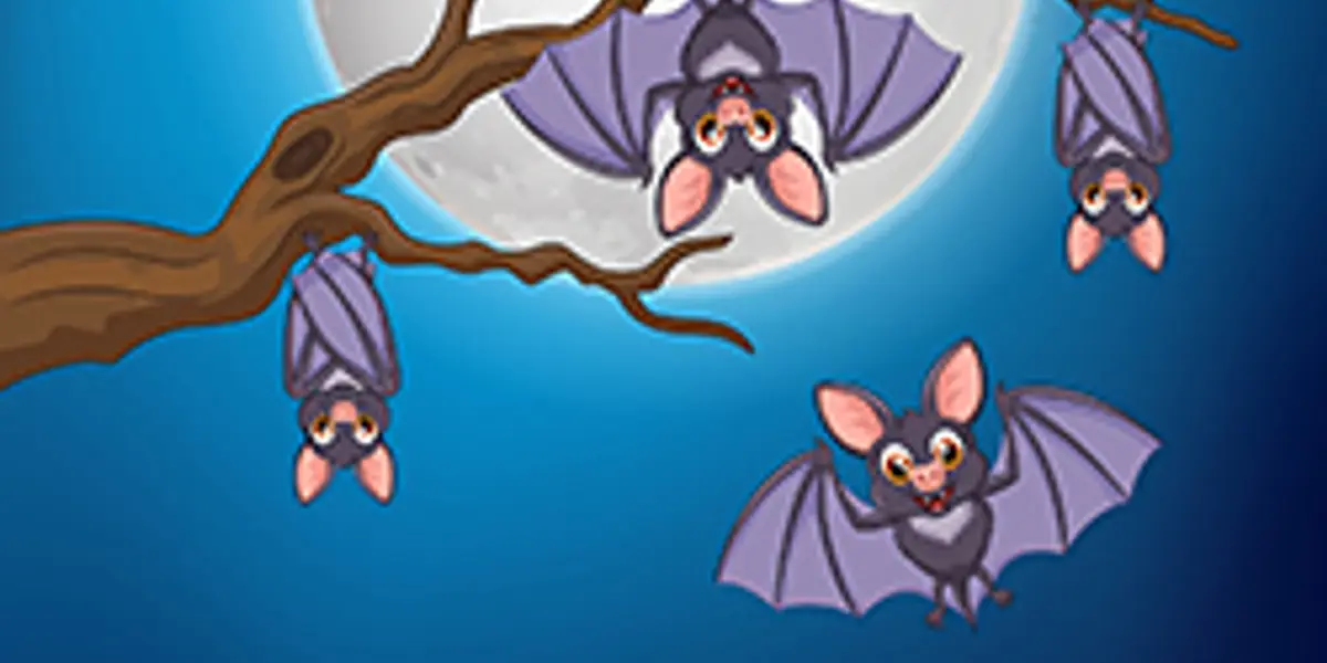 Bats in Our Backyard!