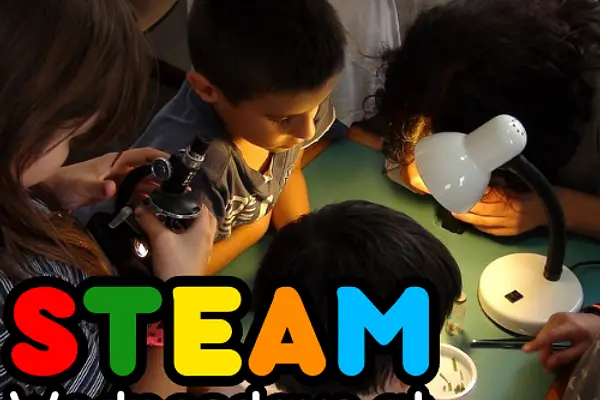 STEAM Wednesday's at Vickery Park