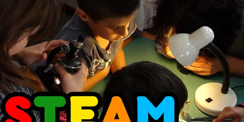 STEAM Wednesday's at Vickery Park