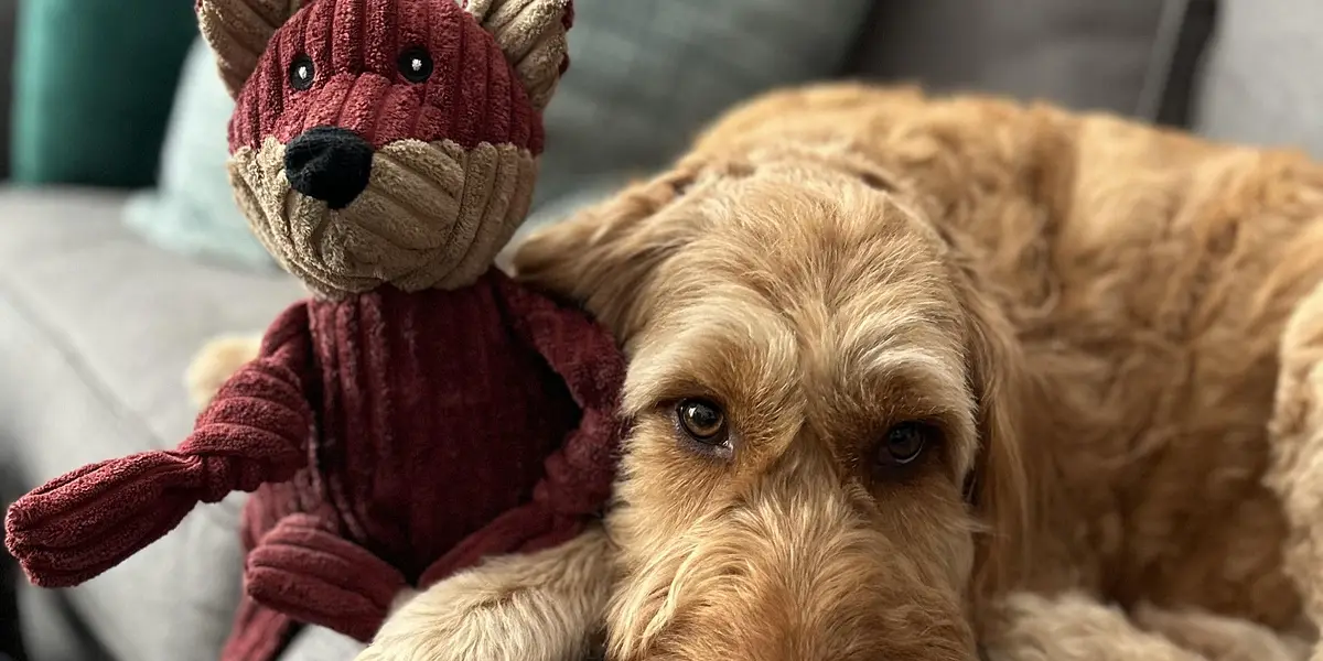 Reading with Riley the Dog