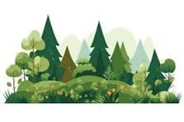 Remake Learning: Escape the Forest at North Port Library