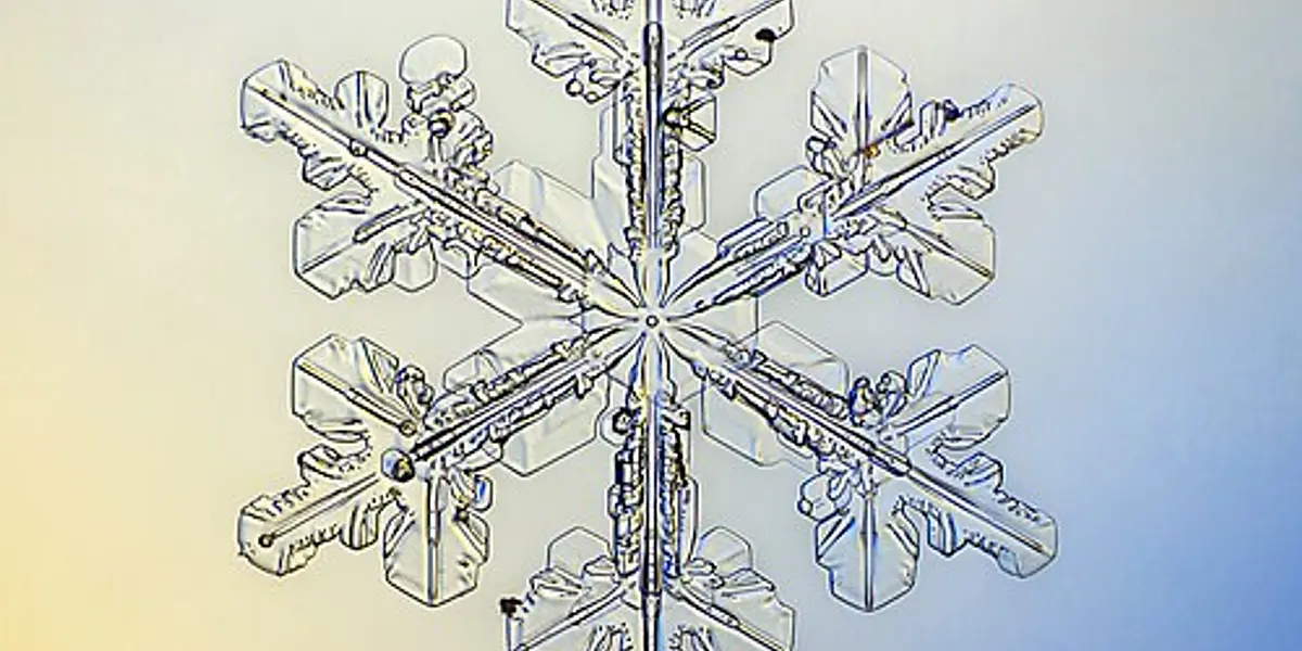 "Snowflake Science" presented by the Girl Scouts - in English and in Spanish