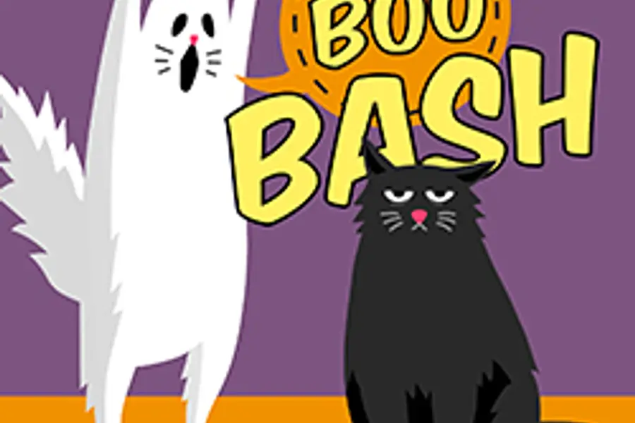Boo Bash at North Carroll Branch