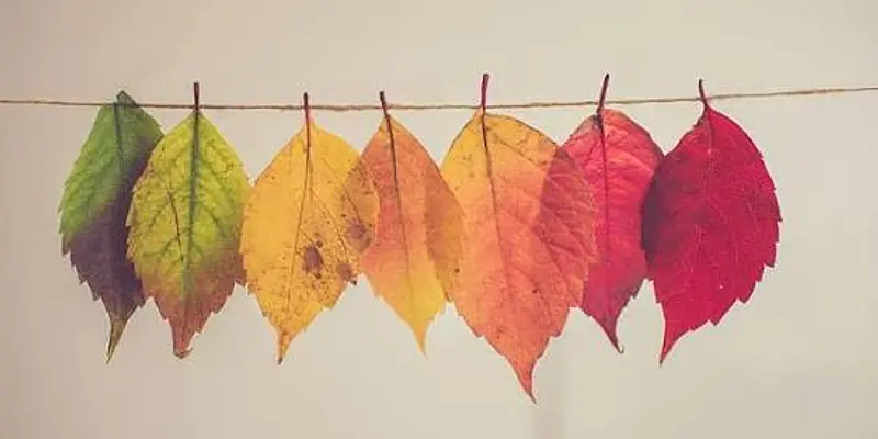 Crafternoon: Autumn Wreaths