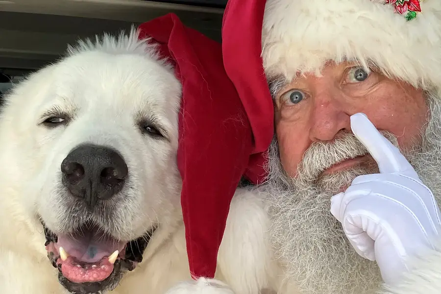 North Pole Fun with Santa