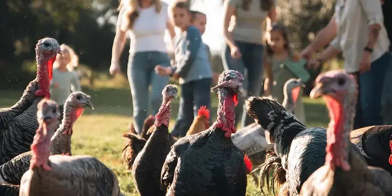 Whispering Oaks Farm